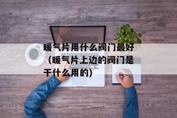 暖气片用什么阀门最好（暖气片上边的阀门是干什么用的)
