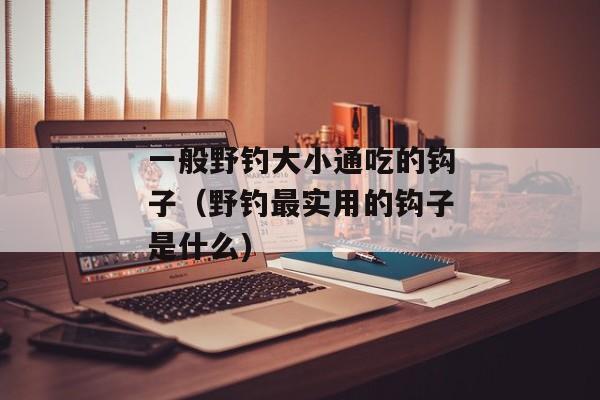 一般野钓大小通吃的钩子（野钓最实用的钩子是什么)