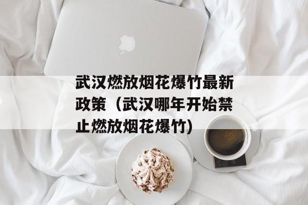 武汉燃放烟花爆竹最新政策（武汉哪年开始禁止燃放烟花爆竹)