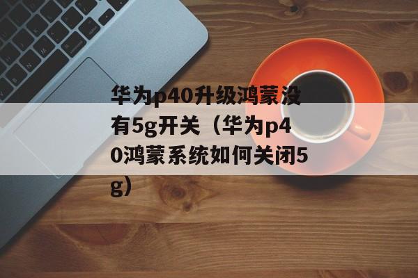 华为p40升级鸿蒙没有5g开关（华为p40鸿蒙系统如何关闭5g)