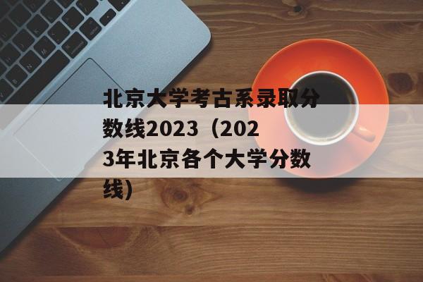 北京大学考古系录取分数线2023（2023年北京各个大学分数线)