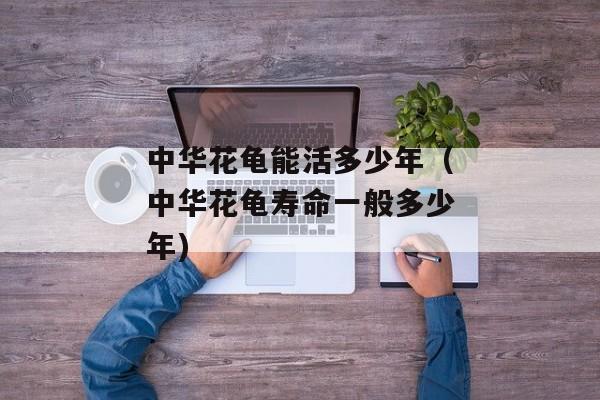 中华花龟能活多少年（中华花龟寿命一般多少年)