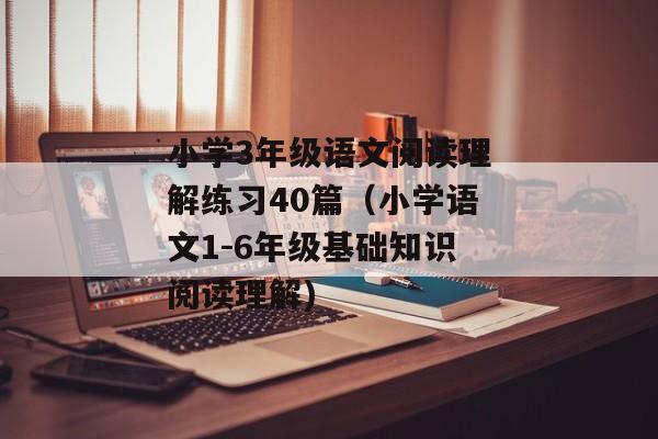 小学3年级语文阅读理解练习40篇（小学语文1-6年级基础知识阅读理解)