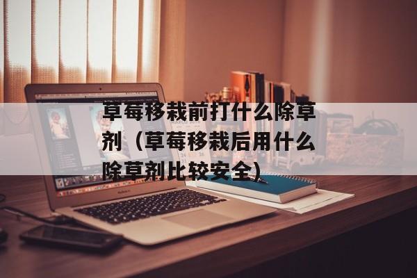 草莓移栽前打什么除草剂（草莓移栽后用什么除草剂比较安全)