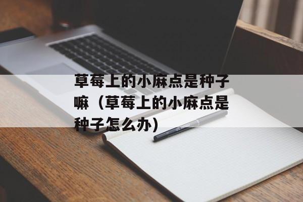 草莓上的小麻点是种子嘛（草莓上的小麻点是种子怎么办)