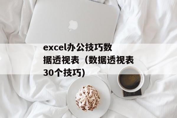 excel办公技巧数据透视表（数据透视表30个技巧)