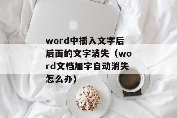 word中插入文字后后面的文字消失（word文档加字自动消失怎么办)