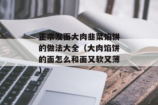 正宗发面大肉韭菜馅饼的做法大全（大肉馅饼的面怎么和面又软又薄）