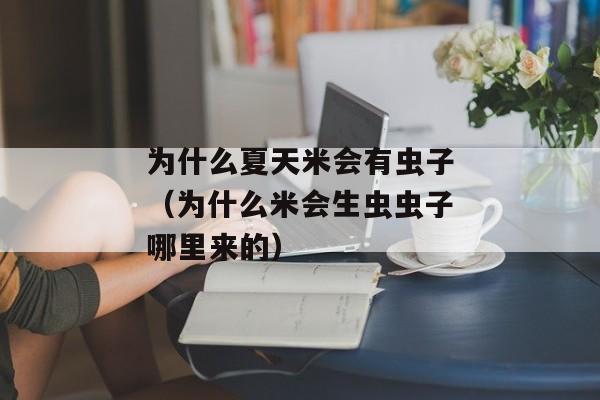 为什么夏天米会有虫子（为什么米会生虫虫子哪里来的）
