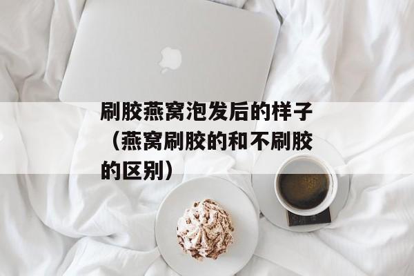 刷胶燕窝泡发后的样子（燕窝刷胶的和不刷胶的区别）
