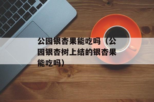 公园银杏果能吃吗（公园银杏树上结的银杏果能吃吗）