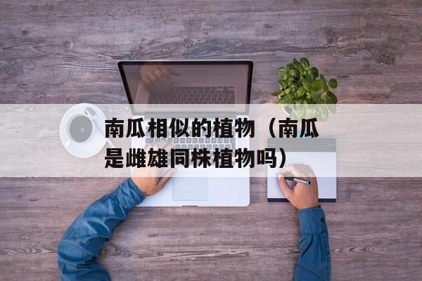 南瓜相似的植物（南瓜是雌雄同株植物吗）