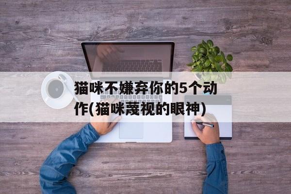猫咪不嫌弃你的5个动作(猫咪蔑视的眼神)