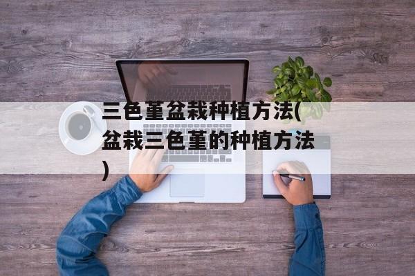 三色堇盆栽种植方法(盆栽三色堇的种植方法)