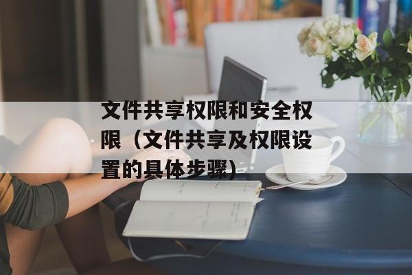 文件共享权限和安全权限（文件共享及权限设置的具体步骤)