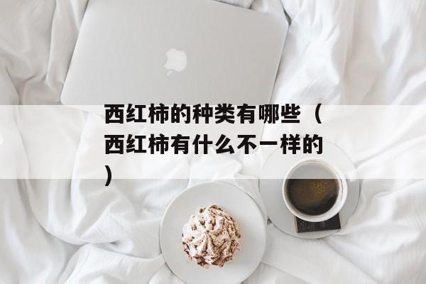 西红柿的种类有哪些（西红柿有什么不一样的)
