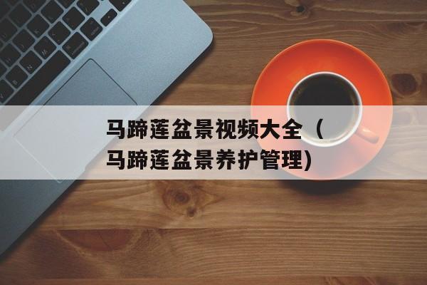 马蹄莲盆景视频大全（马蹄莲盆景养护管理)