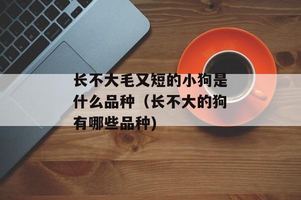 长不大毛又短的小狗是什么品种（长不大的狗有哪些品种)