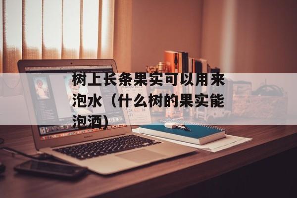 树上长条果实可以用来泡水（什么树的果实能泡酒)