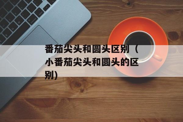 番茄尖头和圆头区别（小番茄尖头和圆头的区别)