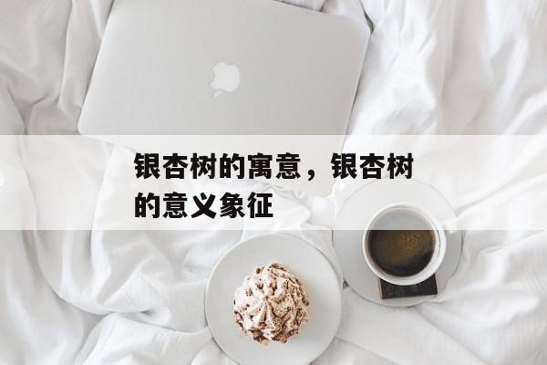 银杏树的寓意，银杏树的意义象征