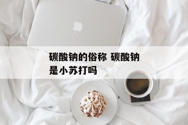 碳酸钠的俗称 碳酸钠是小苏打吗
