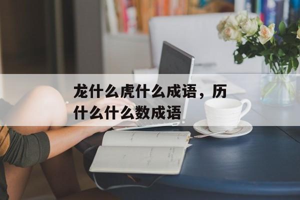 龙什么虎什么成语，历什么什么数成语