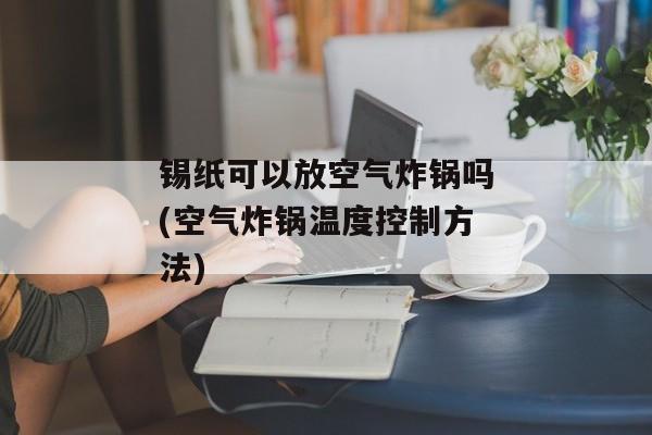 锡纸可以放空气炸锅吗(空气炸锅温度控制方法)