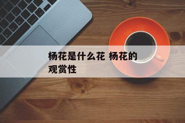 杨花是什么花 杨花的观赏性
