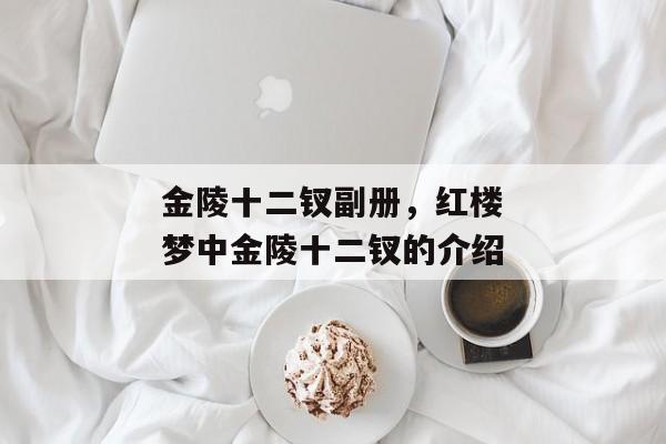 金陵十二钗副册，红楼梦中金陵十二钗的介绍