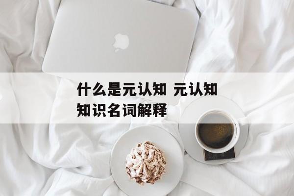 什么是元认知 元认知知识名词解释