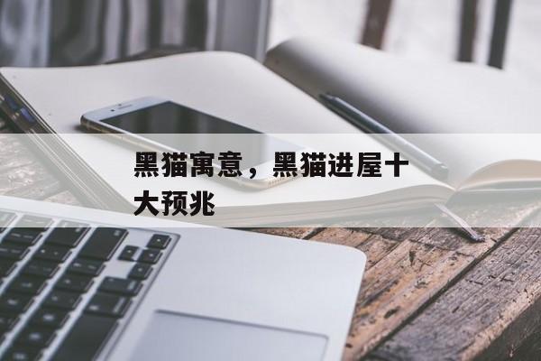 黑猫寓意，黑猫进屋十大预兆