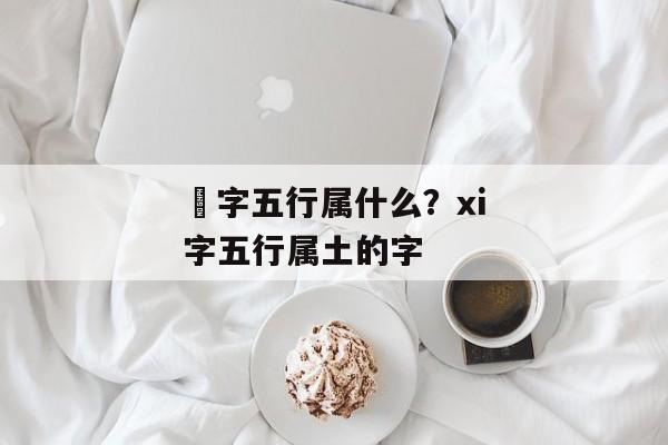琋字五行属什么？xi字五行属土的字