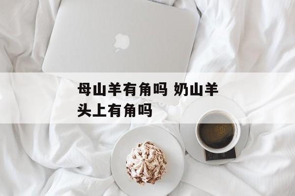 母山羊有角吗 奶山羊头上有角吗