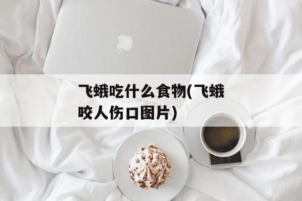 飞蛾吃什么食物(飞蛾咬人伤口图片)