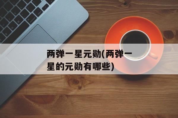 两弹一星元勋(两弹一星的元勋有哪些)