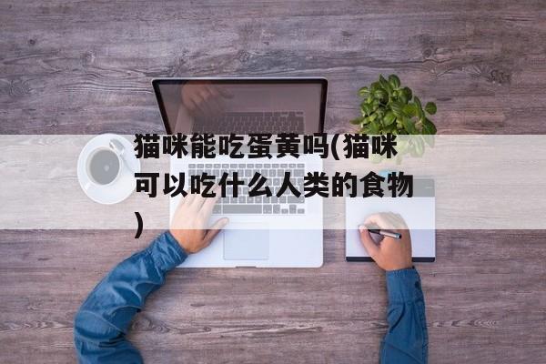 猫咪能吃蛋黄吗(猫咪可以吃什么人类的食物)