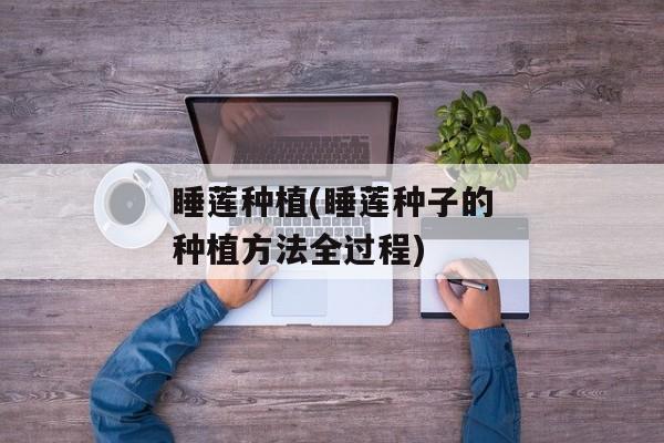 睡莲种植(睡莲种子的种植方法全过程)