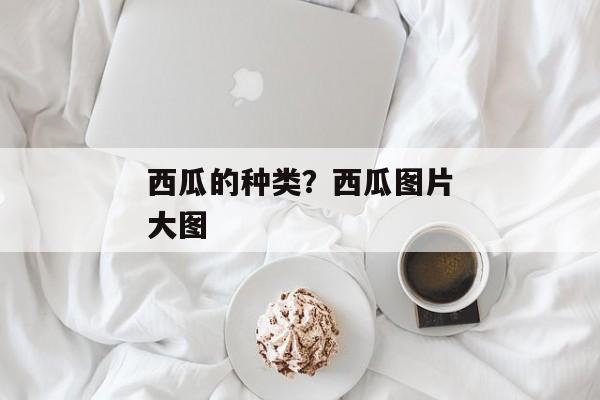 西瓜的种类？西瓜图片大图