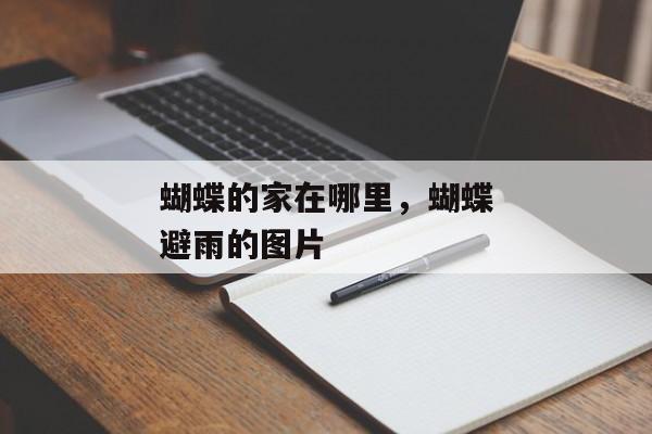 蝴蝶的家在哪里，蝴蝶避雨的图片
