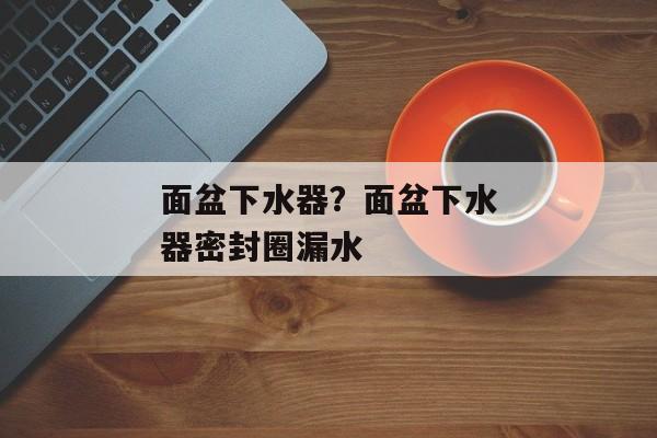 面盆下水器？面盆下水器密封圈漏水