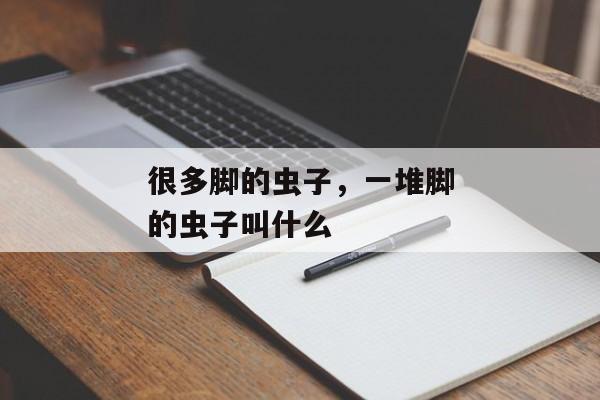 很多脚的虫子，一堆脚的虫子叫什么