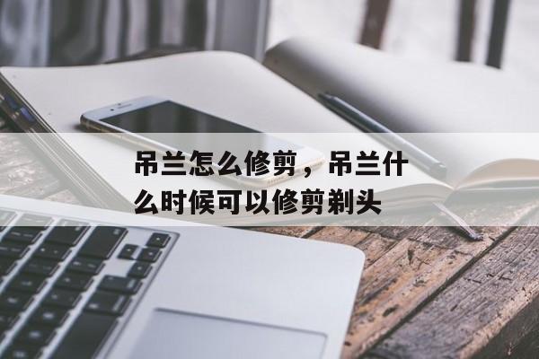 吊兰怎么修剪，吊兰什么时候可以修剪剃头