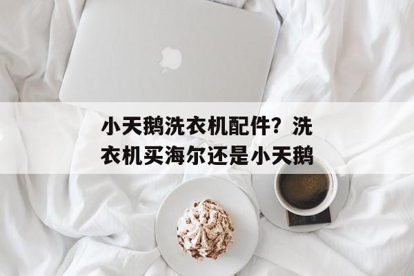 小天鹅洗衣机配件？洗衣机买海尔还是小天鹅