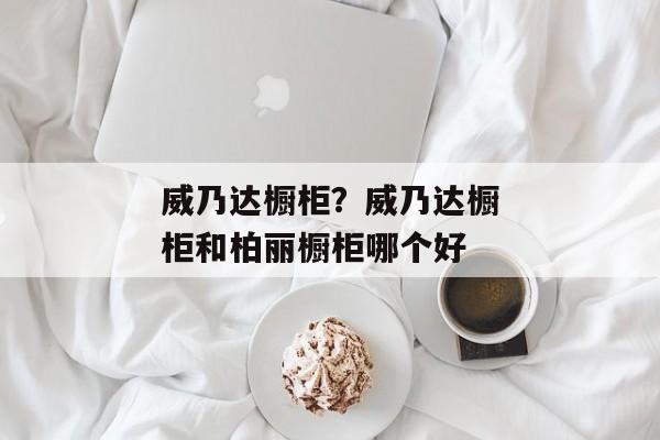 威乃达橱柜？威乃达橱柜和柏丽橱柜哪个好