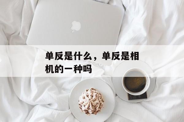 单反是什么，单反是相机的一种吗