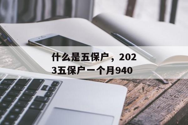 什么是五保户，2023五保户一个月940
