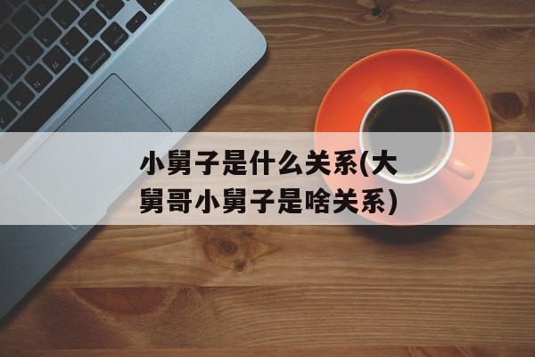 小舅子是什么关系(大舅哥小舅子是啥关系)