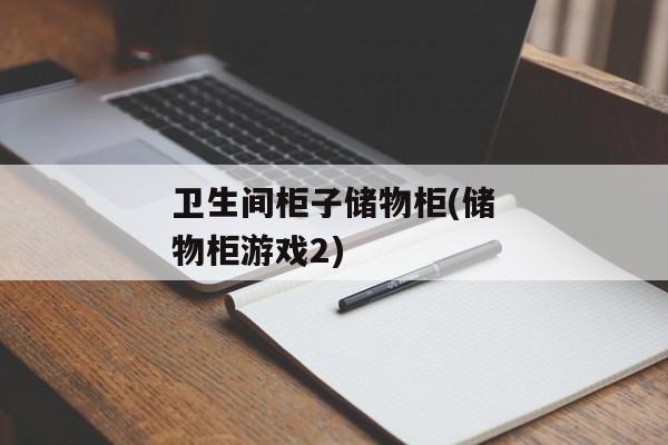 卫生间柜子储物柜(储物柜游戏2)