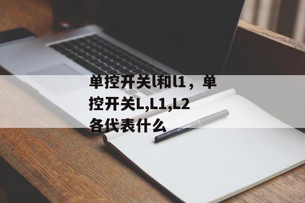 单控开关l和l1，单控开关L,L1,L2各代表什么